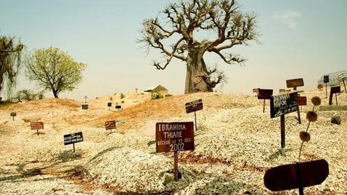 (c) amusingplanet.com