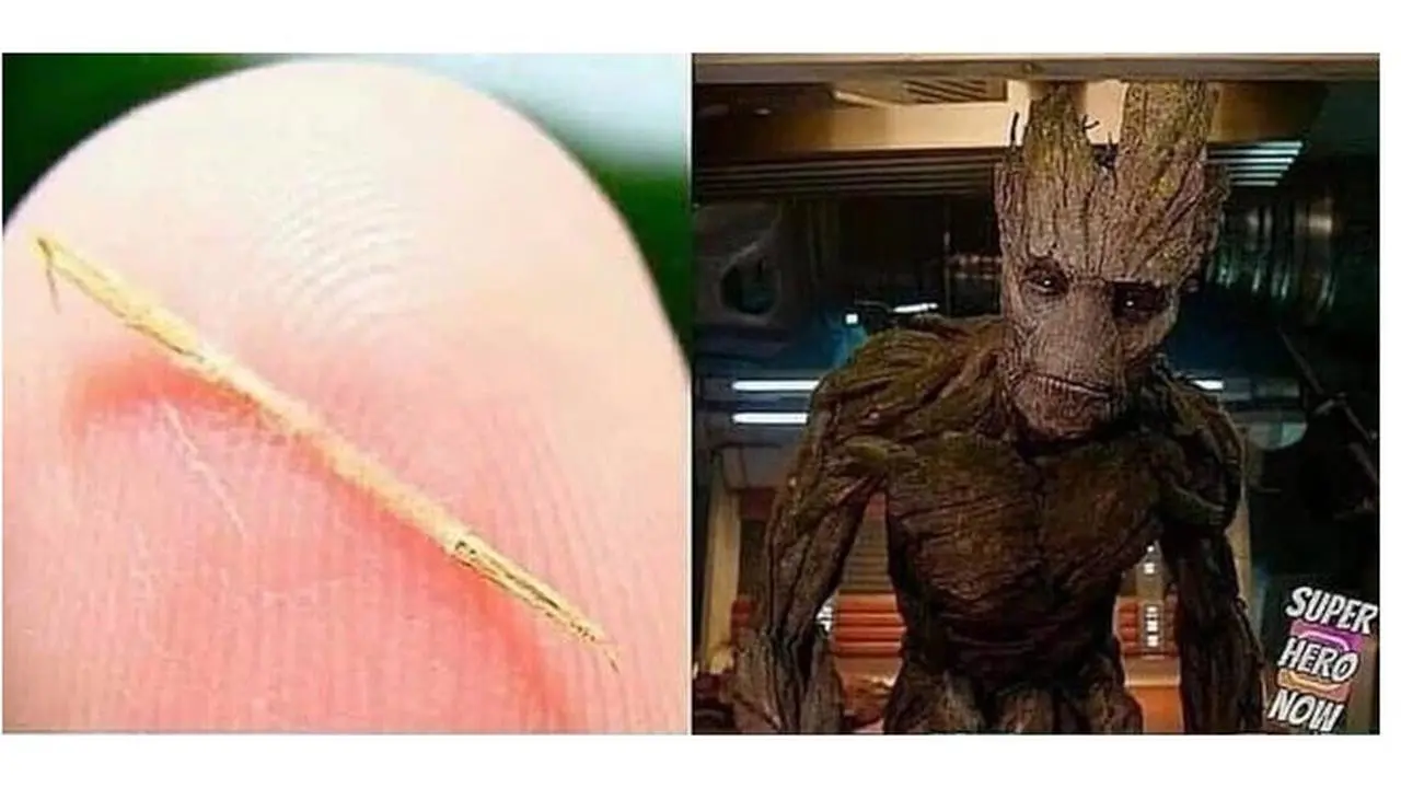 9 Foto Awal Mula Superhero ala Netizen yang Kocak Banget