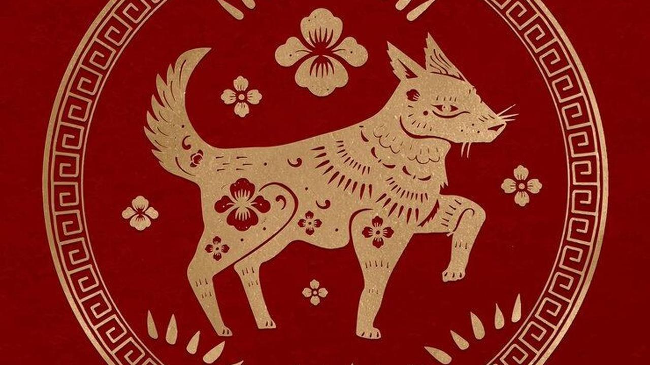 <b>Shio Anjing</b><br>