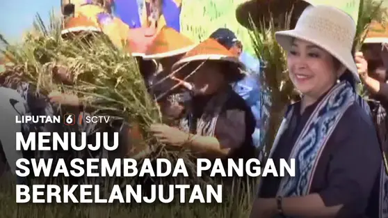 Titiek Soeharto Pimpin Kunjungan Kerja Komisi IV DPR Pantau Panen Raya di Klaten