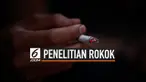 Hasil penelitian dari Pusat Kajian Jaminan Sosial Universitas Indonesia (PKJS UI) menemukan bahwa bantuan sosial, menjadi salah satu alasan naiknya angka konsumsi rokok di kalangan para penerimanya. Peningkatan pendapatan rumah tangga secara langsung...