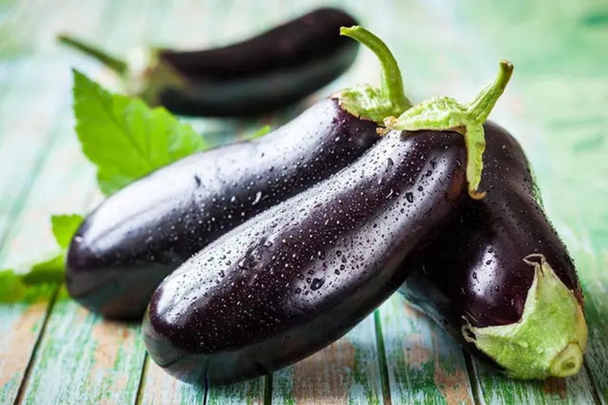 10 Sayur Tropis Cantik yang Bisa Jadi Tanaman Hias, Solusi Segar dan Estetik di Rumah