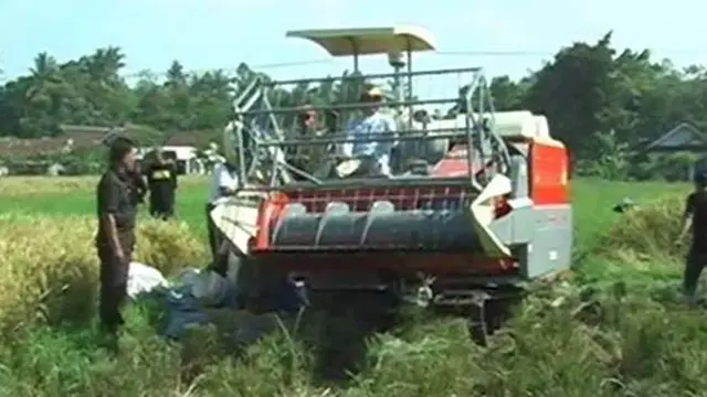 Solar Langka, Petani Tunda Panen