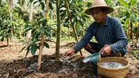 5 Penyebab Pohon Alpukat Kerdil Meski Sudah Diberi Pupuk Rutin
