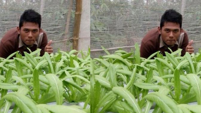 Pemuda Ini Bantu Tingkatkan Pendapatan Warga Lewat Hidroponik Citizen6 Liputan6 Com