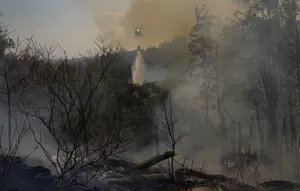 Helikopter Jatuh di Hutan Rio de Janeiro, 4 Orang Tewas