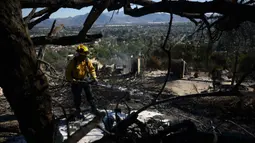 Lebih dari 130 rumah diketahui telah hancur akibat kobaran api yang disebabkan kencangnya hembusan angin di Camarillo, California. (Patrick T. Fallon/AFP)