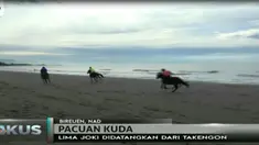 Warga berharap dengan acara seperti ini makin banyak wisatawan baik lokal maupun dari luar daerah berkunjung ke Pantai Kuala Jangka.