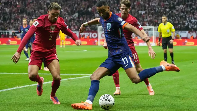 Polandia vs Belanda