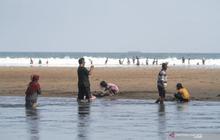 Pemkab Gunungkidul Mutasi Petugas TPR Pantai Baron, Pastikan Transparansi Retribusi Wisata