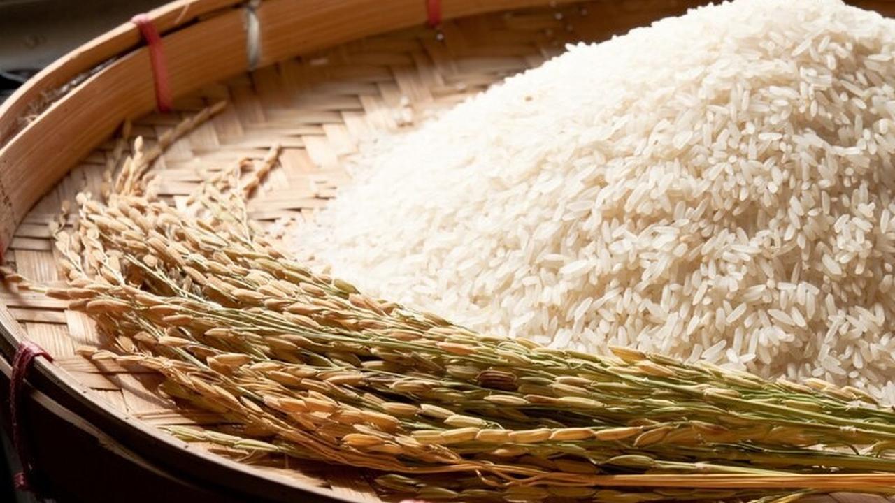 Gunakan 3 Bahan Dapur Ini, Dijamin Beras Bebas Kutu dan Aman hingga Beberapa Bulan Kedepan