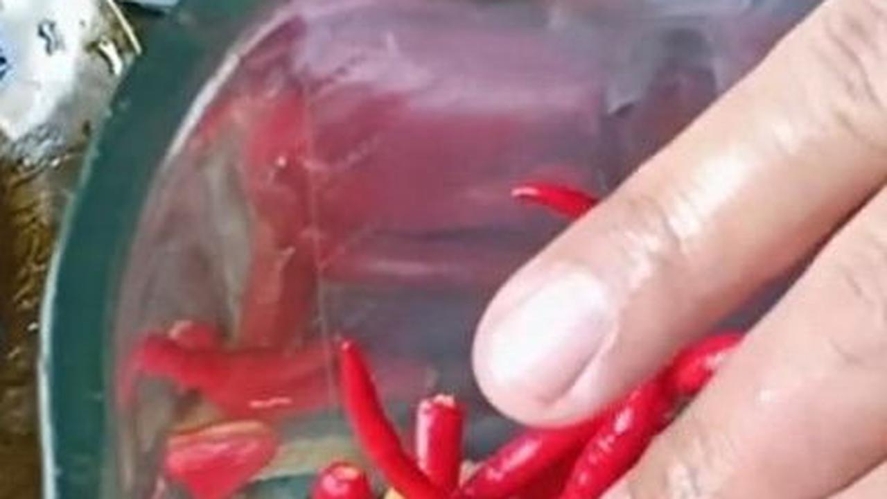 Buat Bumbu Rendang