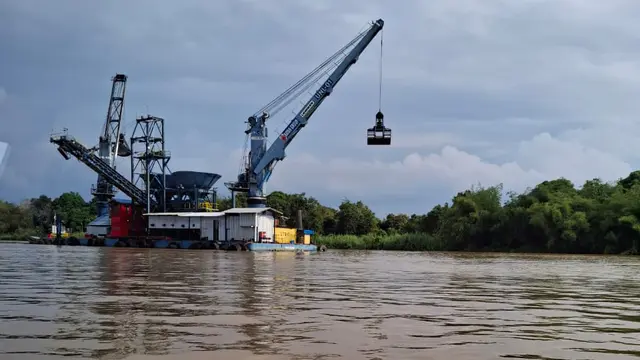 2 Pesut Mahakam Langka Mati di Anak Sungai Mahakam, 3 Perusahaan Batubara Diselidiki