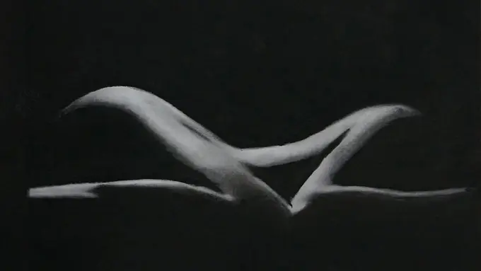 [Bintang] Hanya Hitam Putih, 10 Gambar Ini Mampu Bangkitkan Emosi