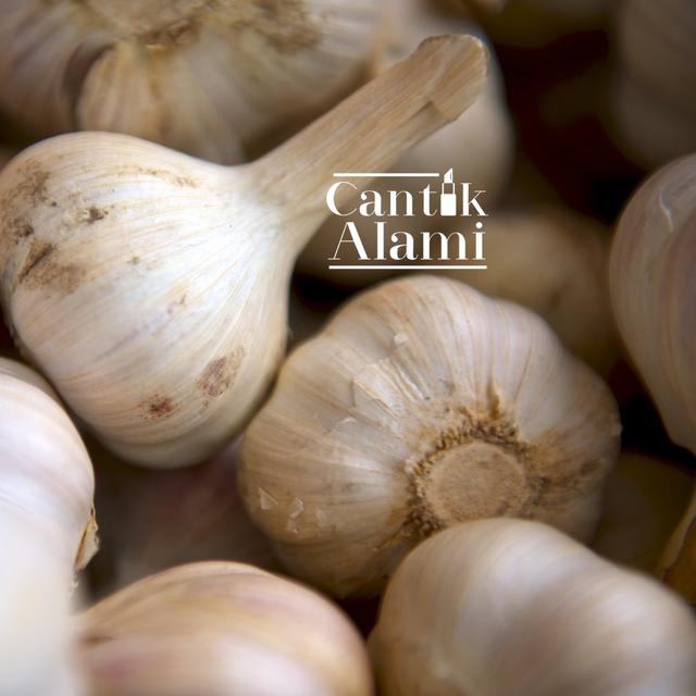 Cantik Alami Khasiat Bawang Putih Untuk Kecantikan Beauty Fimela Com