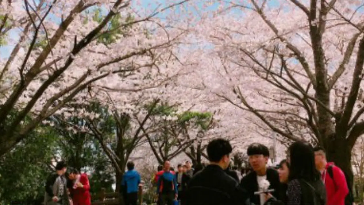 Busan City, Korea/Instagram
