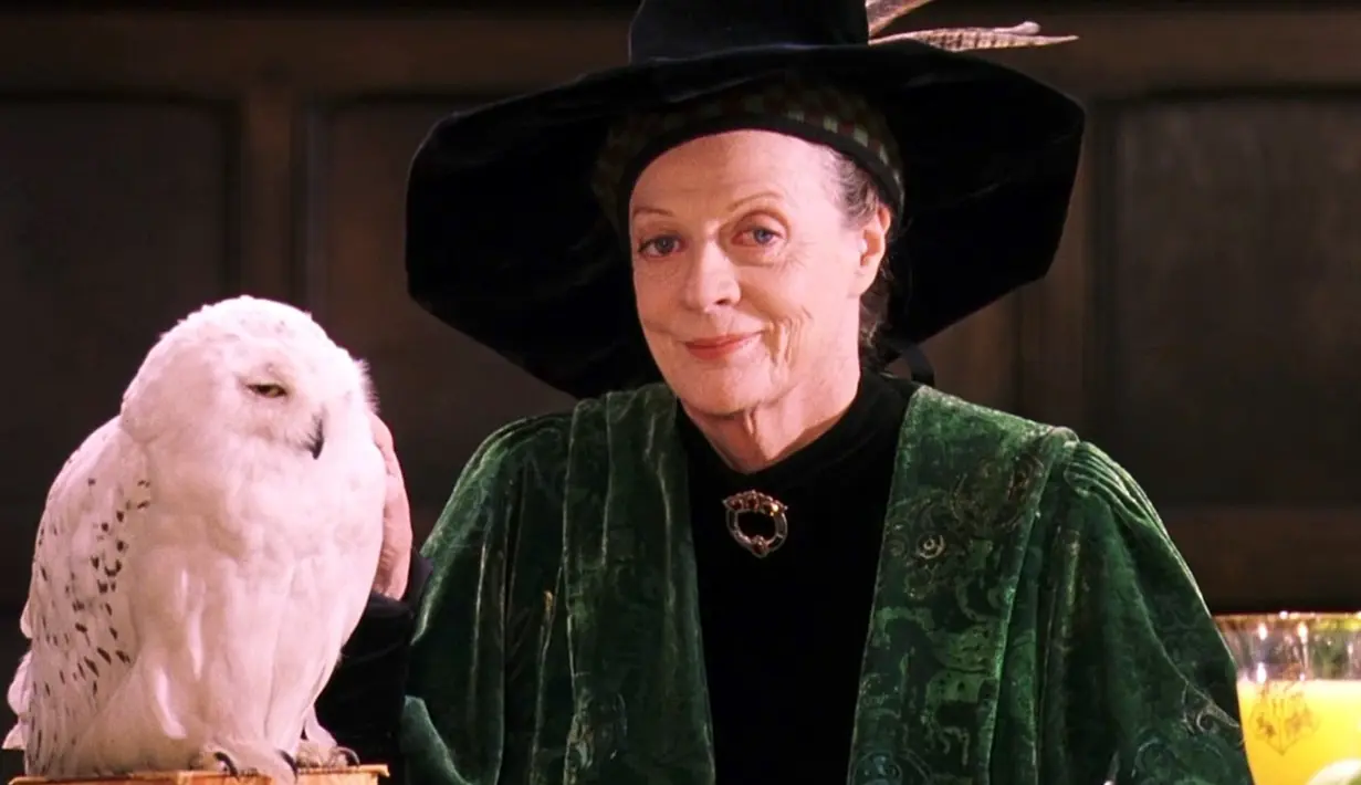 Aktris Harry Potter, Maggie Smith didiagnosa menderita kanker payudara pada tahun 2008. Ia pun harus menjalani kemoterapi. (Hotflick.net)