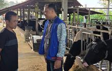 BRI Salurkan Rp99,31 Triliun KUR, Dorong Pertanian, Ketahanan Pangan & UMKM Naik Kelas