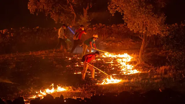FOTO: Warga Ikut Berjuang Melawan Kebakaran Hutan Paling Mematikan di Turki