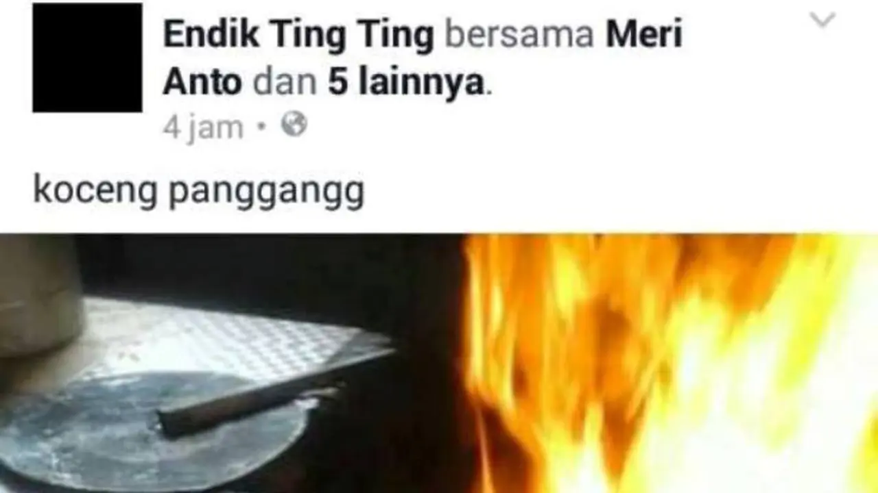 Kucing Dipanggang, Pecinta Hewan Meradang