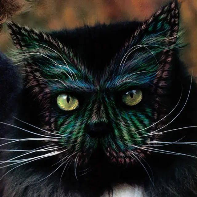 Why Paint Cats