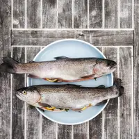 Ilustrasi ikan./Copyright unsplash.com/gregor moser