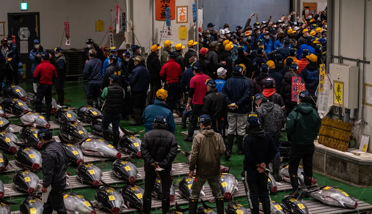 Pedagang grosir berpartisipasi dalam lelang tuna Tahun Baru di pasar ikan Toyosu di Tokyo, Jepang, Rabu (5/1/2022). Dalam tradisi berbagai jenis ikan tuna berbagai ukuran hingga yang termahal ditampilkan dalam acara lelang Tahun Baru di pasar ikan Toyosu. (Philip FONG / AFP)