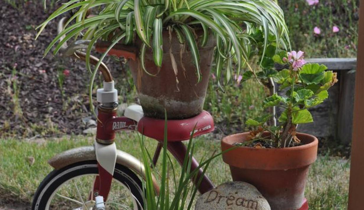 Percantik Taman 8 Ide  Unik Pot  Bunga  Beroda Ini Beri 
