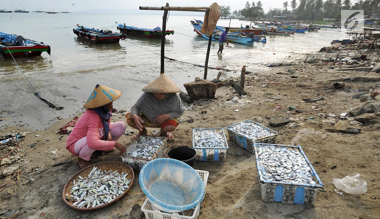Pedagang ikan menunggu pembeli di kawasan Pasar Sumur Jaya, Pandeglang, Banten, Sabtu (3/8/2019). Aktivitas warga Kecamatan Sumur yang menjadi lokasi terdekat dari episentrum gempa Banten saat ini sudah kembali normal. (merdeka.com/Arie Basuki)