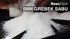 Kepala BNN Komjen Budi Waseso mengatakan, penggungkapan  kasus penggerebekan narkoba di Pademangan  merupakan hasil penelusuran anggota dengan mengutamakan naluri.