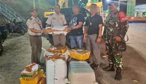 TNI AL Gagalkan Penyelundupan 445 Lembar Kulit Piton dan 32 Kura-Kura