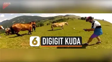 digigit kuda