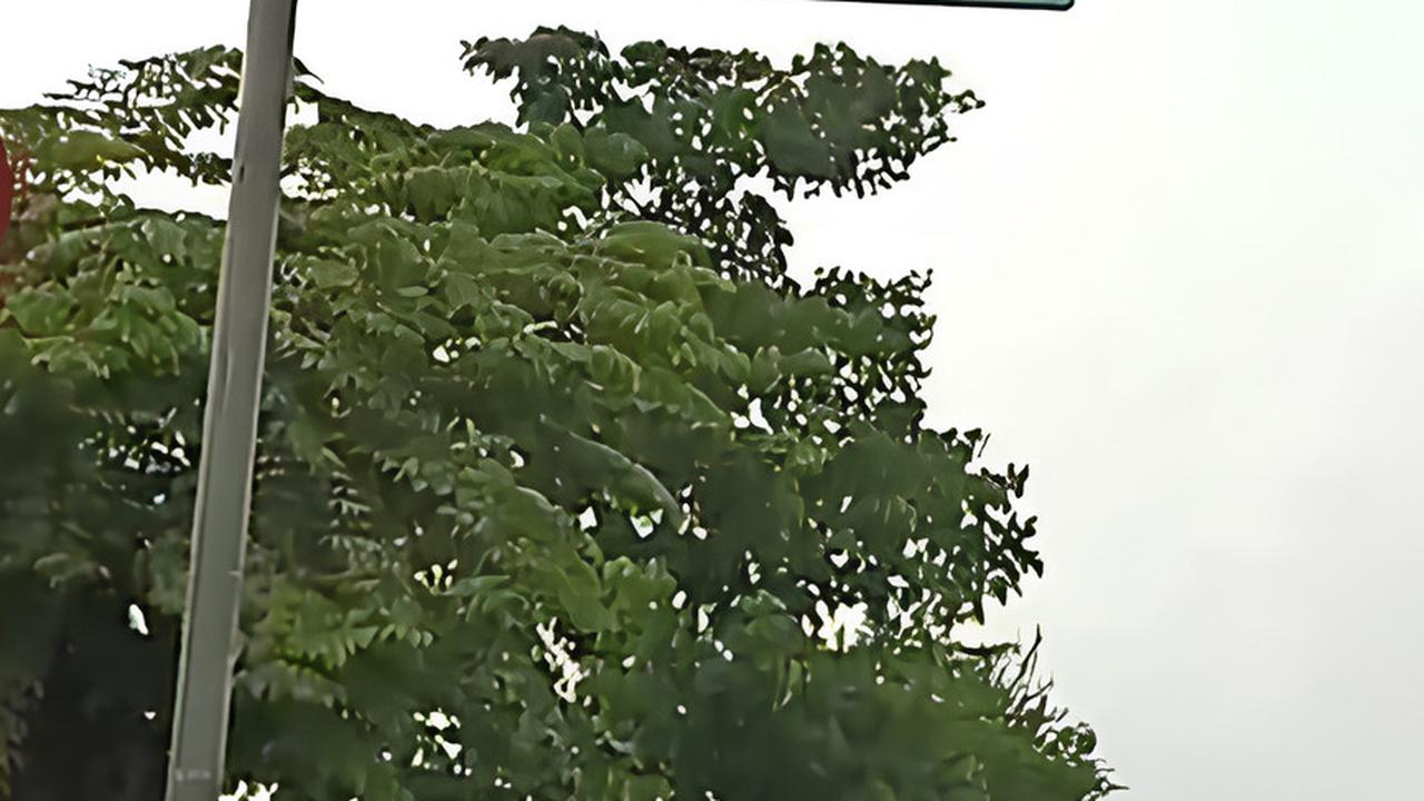 Sejarah Condet yang Belum Banyak Diketahui, dari Area Kebun Duku sampai Cagar Budaya Betawi yang Gagal
