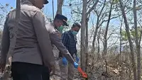 Lansia Tewas Terjebak Kebakaran Hutan Saat Cari Kayu Bakar
