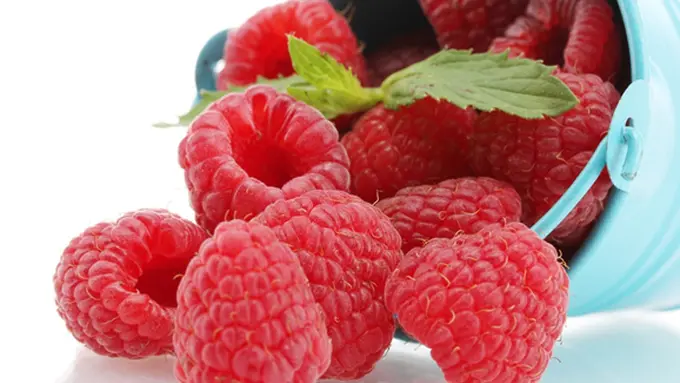 Courtesy ShutterStock.com