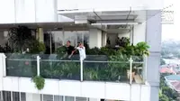 Menengok Kebun Sayuran di Balkon Apartemen Daniel Mananta yang Penuh Tanaman . foto; Youtube 'Boy William'