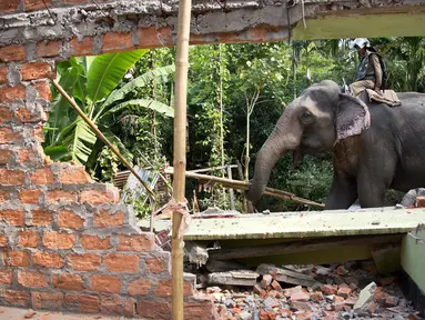 Seekor gajah menghancurkan rumah saat penggusuran di Suaka Margasatwa Amchang, Assam, India (27/11). Pasukan keamanan India mengerahkan gajah untuk menggusur sejumlah rumah ilegal di kawasan tersebut. (AP Photo/Anupam Nath)