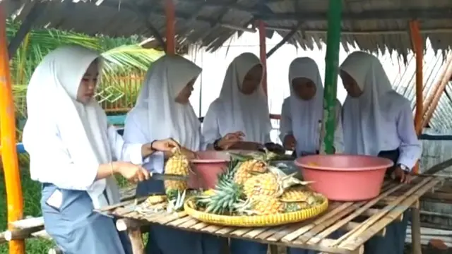 Kurikulum Nanas, SMK di Muara Enim Ajarkan Pelajar Kelola Buah Lokal Jadi Produk Bernilai