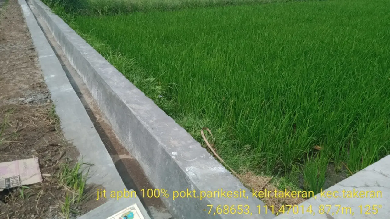 Usai Irigasi Direhabilitasi, Produktivitas Pertanian Magetan Tembus 8,4 Ton/Ha