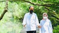 4 Pernyataan Jokowi Usai Tinjau Penanaman Taman Hutan Mangrove Ngurai Rai, Bali