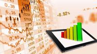 Bagi Anda yang seorang pemula dalam dunia investasi, Reksa Dana bisa menjadi salah satu pilihan investasi terbaik