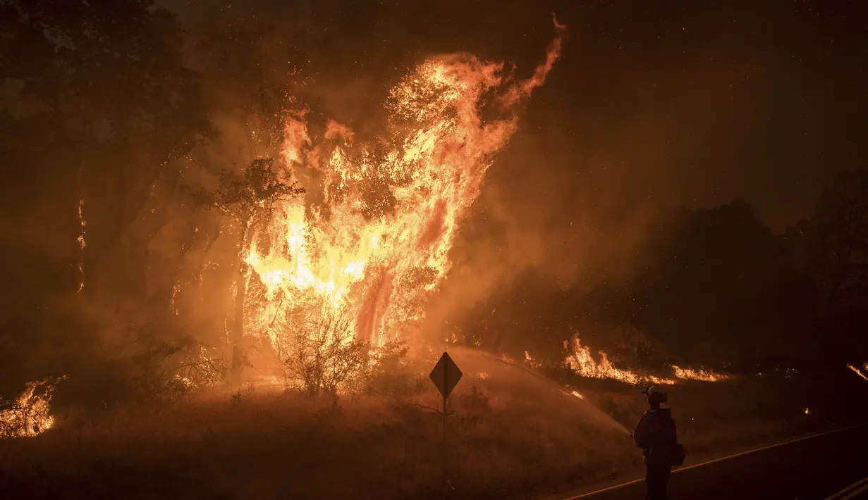 Kebakaran hutan dahsyat melanda California, Amerika Serikat, Sabtu (8/7). Kebakaran terjadi akibat kekeringan panjang yang terjadi selama lima tahun terakhir. (AP Photo / Noah Berger)