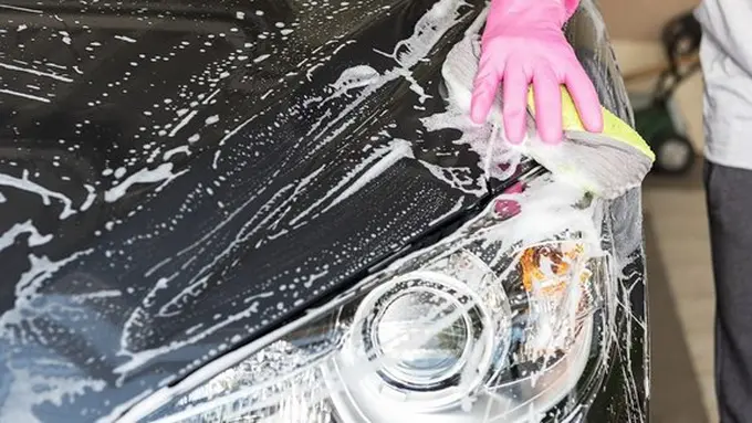 copyright pixabay.com/sasint