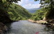 Trivia: Desa Wisata Wae Lolos Pecahkan Rekor, Kunjungan Tembus 11 Ribu Wisatawan dalam 9 Bulan!