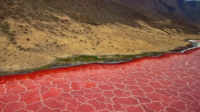 Danau Natron, Monduli, Tanzania