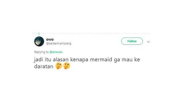 kostum putri duyung