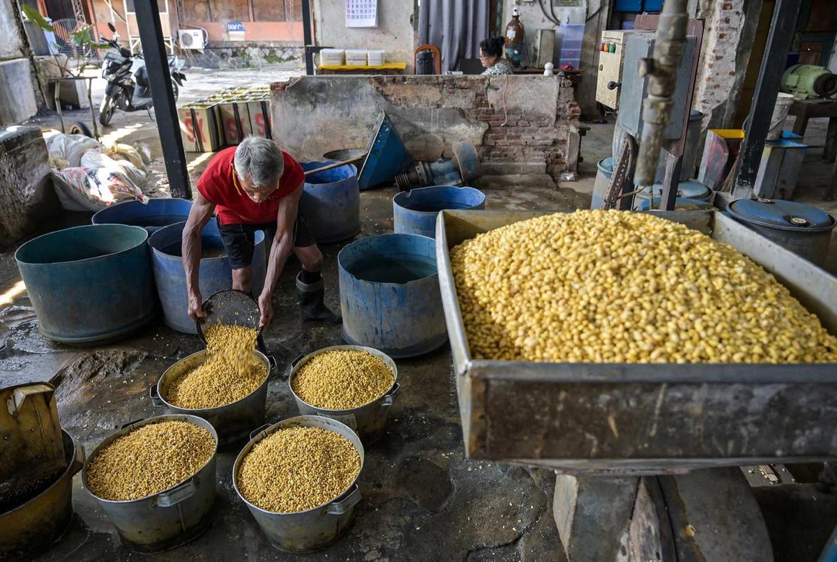 FOTO: Kenaikan Harga Kedelai Tekan Produksi Tahu di Jawa Timur