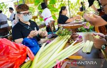 Trivia: Lahan Pertanian Denpasar Menyusut 100 Hektare, Pertamina Berdayakan Petani Cegah Alih Fungsi Lahan