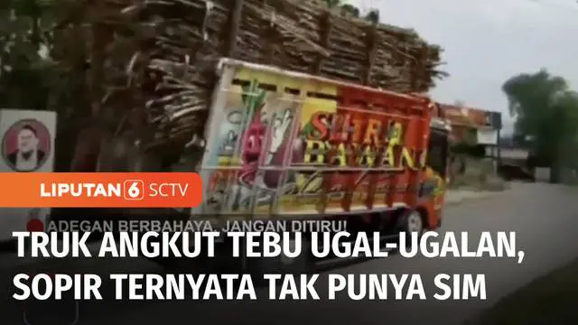 Truk bermuatan tebu melaju ugal-ugalan secara oleng di Sragen, Jawa Tengah. Selain muatan truk melebihi kapasitas, pengemudinya ternyata juga tidak punya SIM.