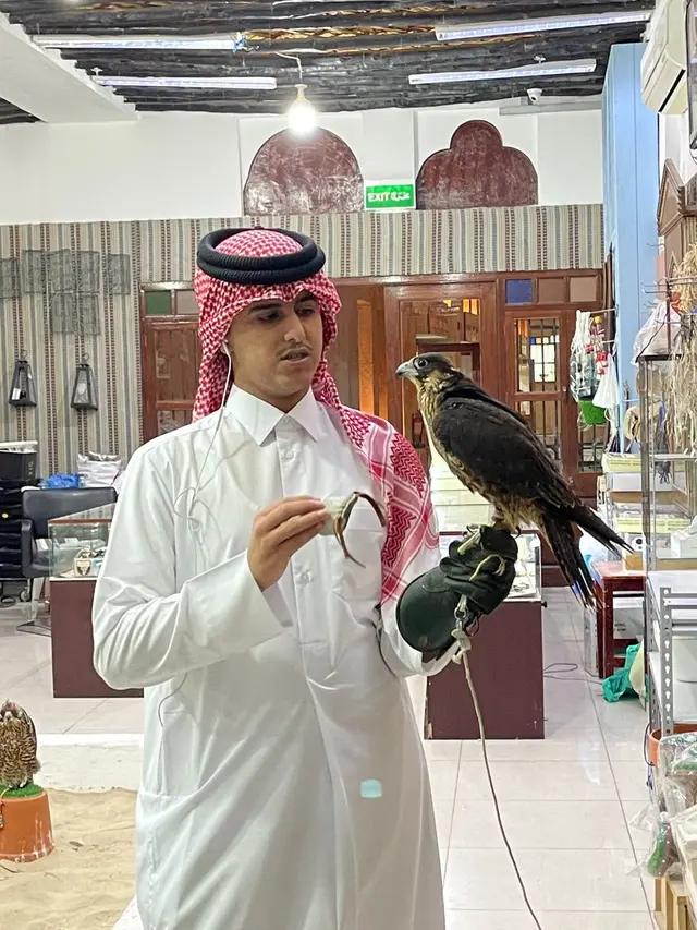 Burung Falcon
